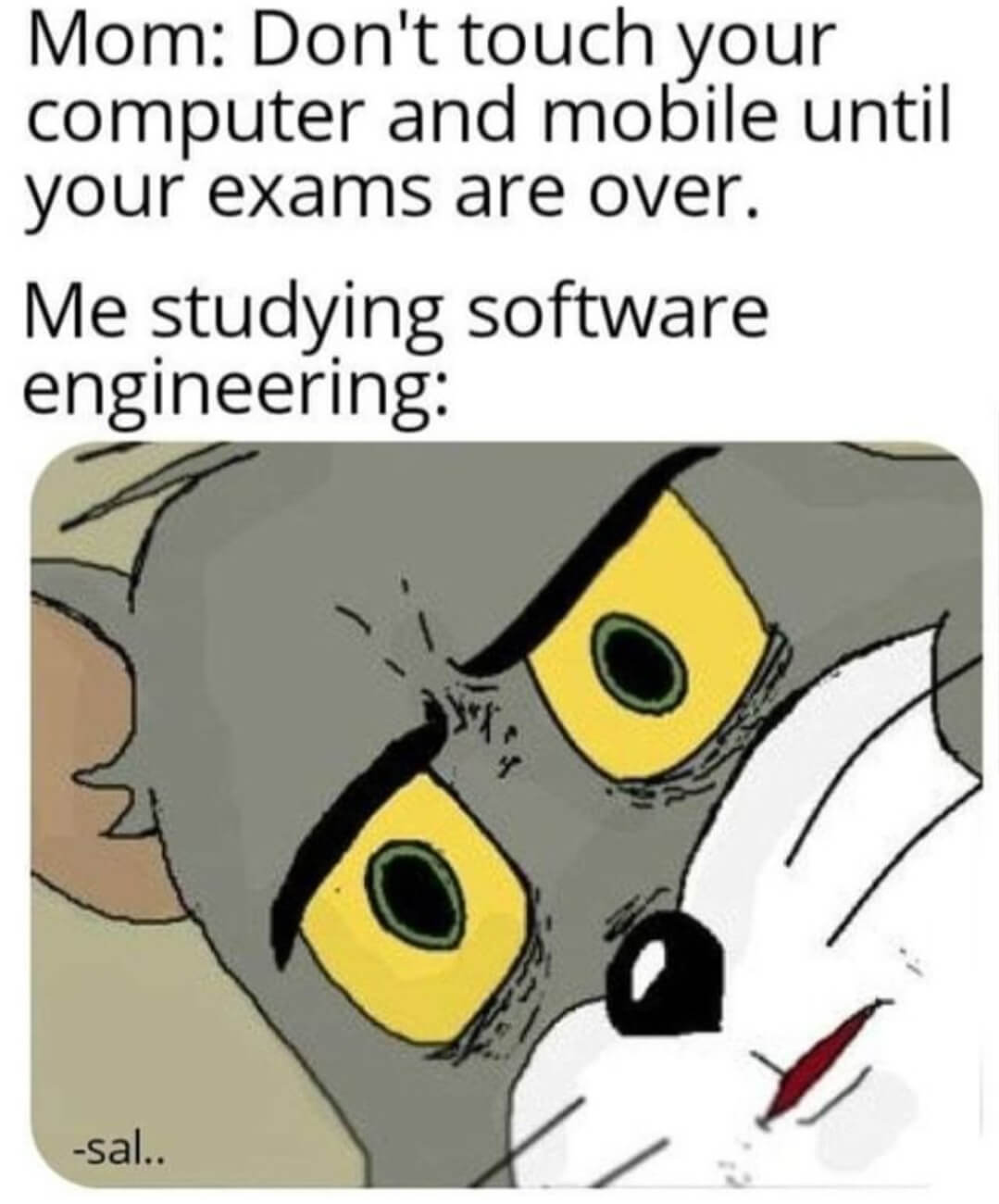 Coding-Jokes-Studying-Software-Engineeri